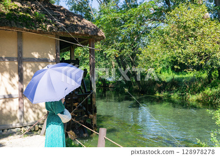 <Azumino> Spectacular view of the waterwheel and beautiful stream at Daio Wasabi Farm 128978278