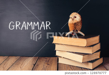A small owl is sitting on top of a stack of books A small owl is sitting on top of a stack of books 128978777