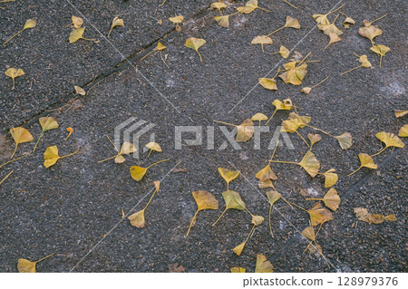 Pile of leaves on a sidewalk 128979376