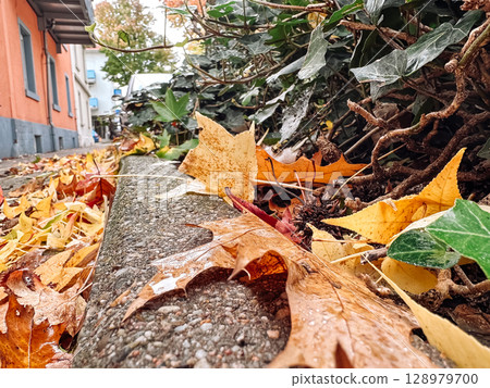 Pile of leaves on a sidewalk 128979700