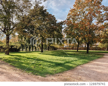 Park with trees and a gravel road 128979741