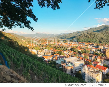 A city with a beautiful view of the mountains and a vineyard 128979814