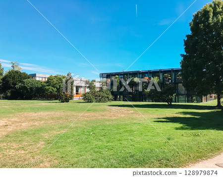 A large building with a green roof sits in front of a large tree A large building with a green roof sits in front of a large tree 128979874