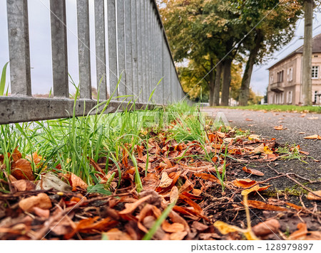 Fence with a lot of leaves on the ground Fence with a lot of leaves on the ground 128979897