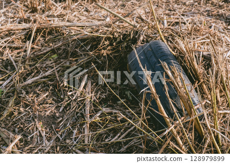 Tire is laying in a field of dry grass 128979899
