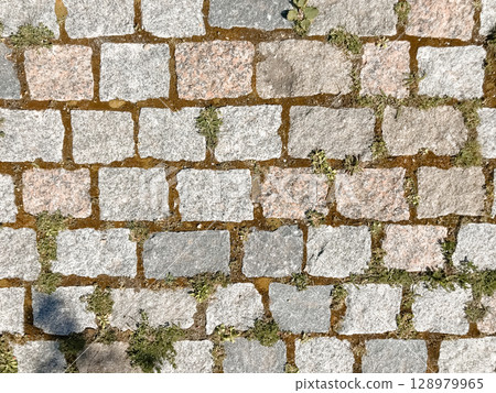 A brick wall with a green moss growing on it 128979965