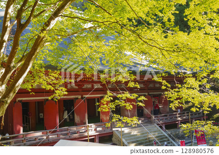 比叡山延歷寺西塔釋迦堂全景 128980576