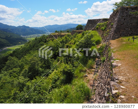 武田城跡 128980877