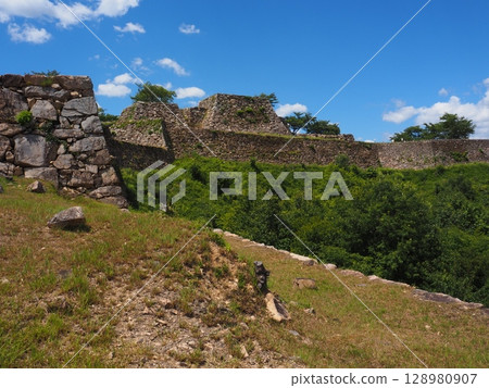 武田城跡 128980907