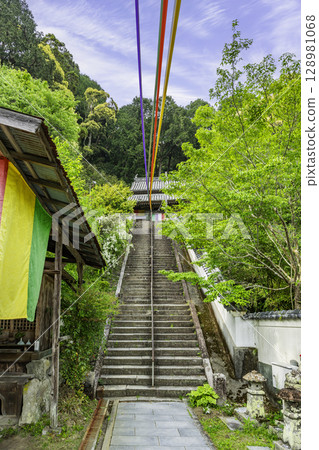 22nd of the 88 Shikoku Temples: Stone Steps of Byodo-ji Temple, Anan City, Tokushima Prefecture 22nd of the 88 Shikoku Temples: Stone Steps of Byodo-ji Temple, Anan City, Tokushima Prefecture 128981068