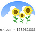 Sunflowers and blue sky illustration material, summer 128981888
