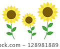 Sunflower illustration material, three flowers lined up, summer 128981889