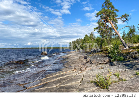 Coastal rocky northern landscape with leaning pine tree with clear blue sky and forest background. Coastal rocky northern landscape with leaning pine tree with clear blue sky and forest background. 128982138