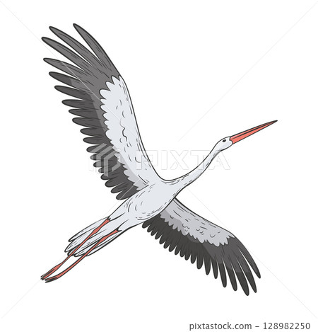 Crane bird in realistic style, high quality detail. Vector illustration 128982250