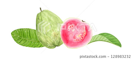 Guava whole fruit and slice with green leaves. Hand painted watercolor composition isolated on white. Textured ideal for summer textiles, cards, label, packaging, kitchen decor, tropical branding 128983232