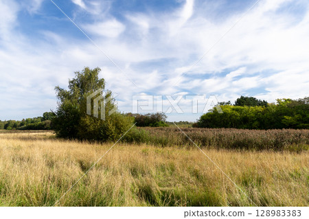 Country road among fields and forests. Rural landscape Country road among fields and forests. Rural landscape 128983383