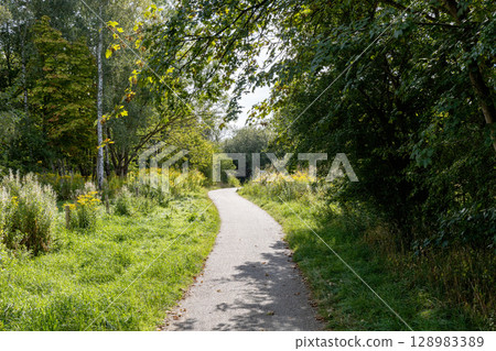 Country road among fields and forests. Rural landscape Country road among fields and forests. Rural landscape 128983389