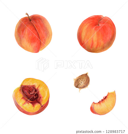 Red orange peach watercolor illustration set with whole fruits, half, slice and pit. Realistic botanical drawing isolated on white background. Natural tropical food clipart for packaging and product 128983717