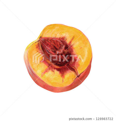 Cut peach watercolor illustration isolated on white. Ripe summer fruit half with realistic pulp and pit botanical drawing. Natural tropical food clipart for packaging and product designs 128983722