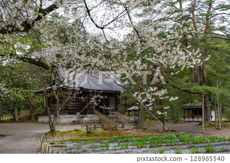 世界遺產 平泉毛越寺 海參堂 岩手縣平泉町 128985540