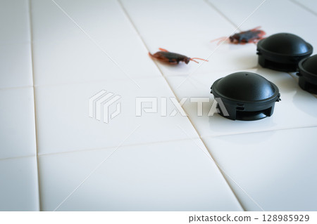 Stand-alone cockroach repellent, cockroach extermination 128985929