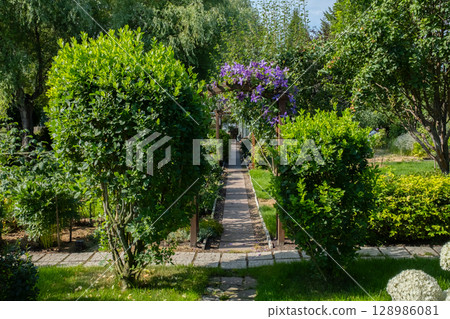 Landscape garden with a path leading through lush green bushes. Landscape garden with a path leading through lush green bushes. 128986081