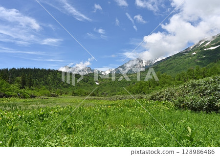 Tsugaike Nature Park in summer and the remaining snow on the Hakuba mountain range / Nagano Prefecture 128986486