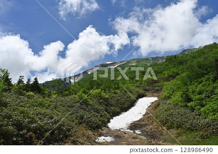 Tsugaike Nature Park in summer and the remaining snow on the Hakuba mountain range / Nagano Prefecture 128986490