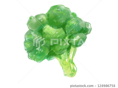 Fresh broccoli hand drawn watercolor illustration Fresh broccoli hand drawn watercolor illustration 128986758