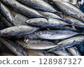 Fresh Caught Fish beautifully arranged and on display for all to see and appreciate 128987327