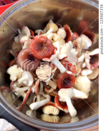 Variety of Fresh and Partially Cooked Mushrooms in a Stainless Steel Bowl Variety of Fresh and Partially Cooked Mushrooms in a Stainless Steel Bowl 128987356