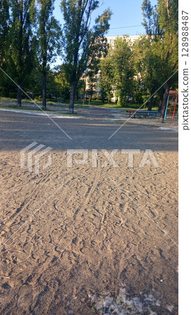 Sandy Path in a Park with Tire Tracks and Scattered Trees Under a Clear Blue Sky 128988487