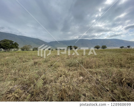 Scenic View of Ngorongoro Conservation Area, Tanzania 128988699