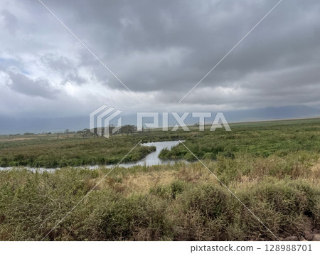 Scenic View of Ngorongoro Conservation Area, Tanzania Scenic View of Ngorongoro Conservation Area, Tanzania 128988701