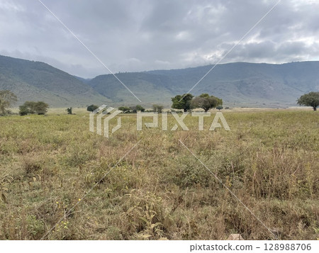 Scenic View of Ngorongoro Conservation Area, Tanzania 128988706