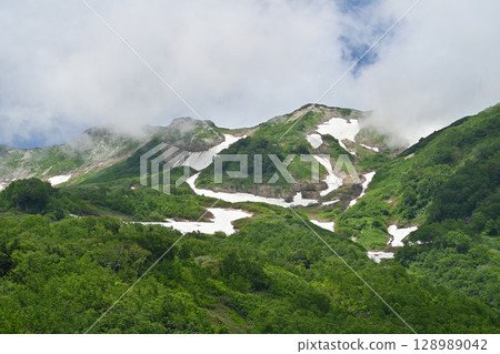 Summer at Tsugaike Nature Park and snow-covered mountains/Nagano Prefecture 128989042
