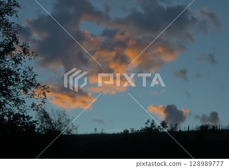 tree silhouette at sunrise 128989777