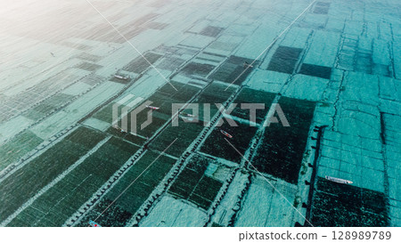 Aerial view of seaweed farm at Lembongan island in Indonesia 128989789