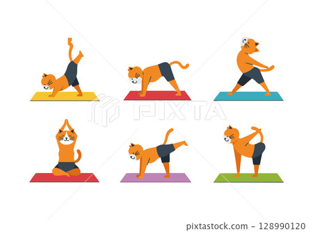 Orange Cat Doing Yoga Poses on Colorful Mats Vector Illustration for Fitness and Relaxation 128990120