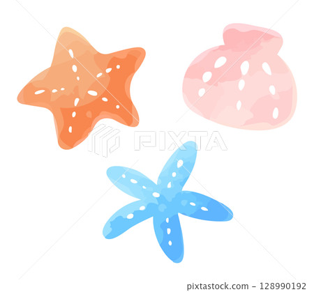 海星與貝殼的手繪插圖 128990192