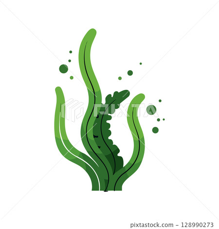 Green seaweed vector illustration with bubbles underwater nature plant design Green seaweed vector illustration with bubbles underwater nature plant design 128990273