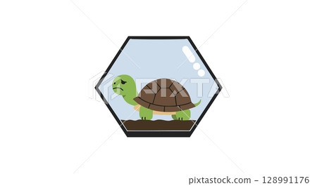 Turtle inside glass terrarium with soil base vector illustration in simple style Turtle inside glass terrarium with soil base vector illustration in simple style 128991176