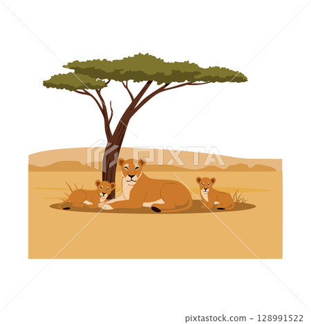 Lioness with two cubs resting under acacia tree in savanna landscape vector illustration Lioness with two cubs resting under acacia tree in savanna landscape vector illustration 128991522