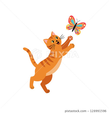 Playful orange cat reaching colorful butterfly vector illustration in lively style Playful orange cat reaching colorful butterfly vector illustration in lively style 128991596