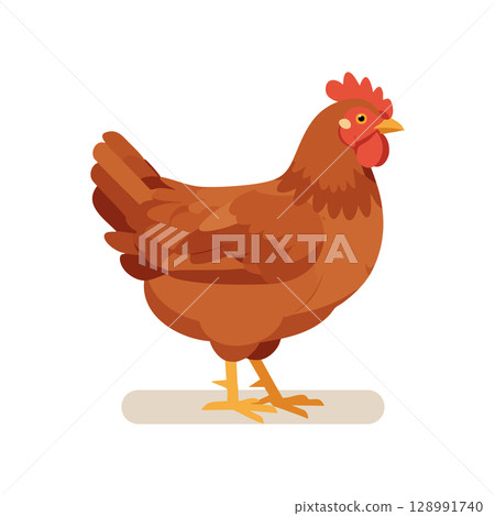 Brown Hen Standing Side View Vector Illustration of Farm Bird Animal Brown Hen Standing Side View Vector Illustration of Farm Bird Animal 128991740