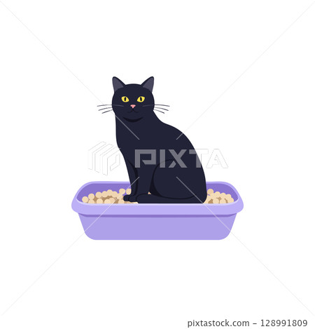 Black Cat Sitting in Purple Litter Box Vector Illustration for Pet Care and Cat Hygiene 128991809
