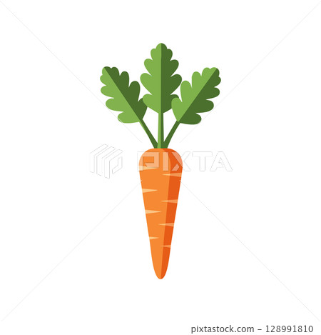 Carrot vegetable fresh healthy orange green vector illustration simple design 128991810