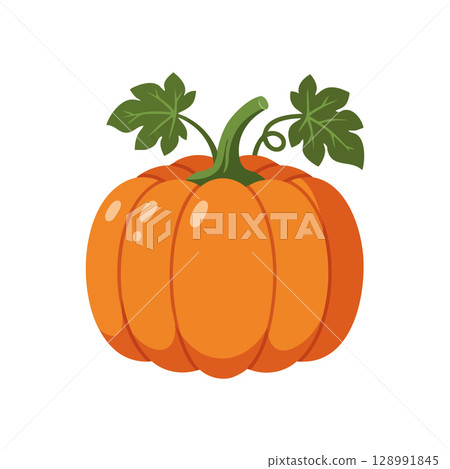 Pumpkin with green leaves vector illustration in orange color for autumn harvest and decoration 128991845