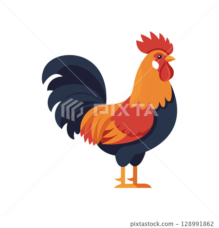 Rooster bird with orange and black feathers standing side view farm animal vector illustration 128991862