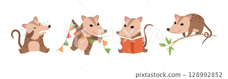 Cute Opossum Animal with Tail in Various Pose Vector Set 128992852